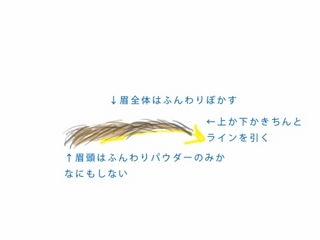 眉毛.jpg